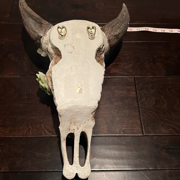 Resin skull and succulents 18” EUC - Picture 9 of 9